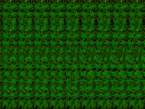 a_3d_magical_leaf.jpg