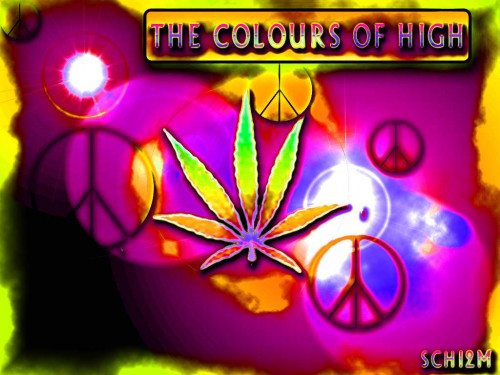 marijuana3.jpg