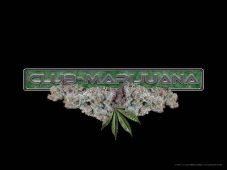 static/gallery/Pothead/Club_Marijuana.jpg