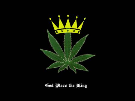 static/gallery/Pothead/God_Bless_the_King_by_StaticVenom.jpg