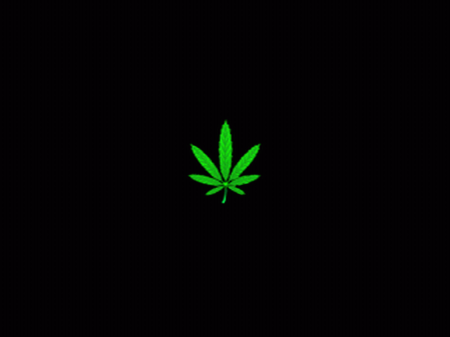 static/gallery/Pothead/marijuana-small-leaf.png